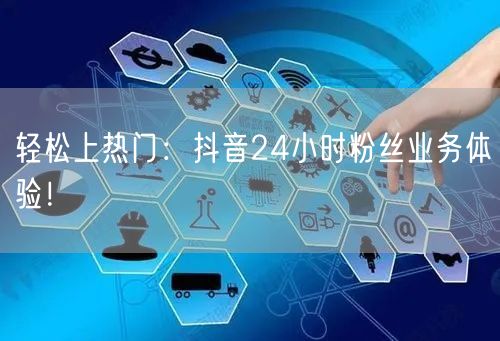 轻松上热门：抖音24小时粉丝业务体验！