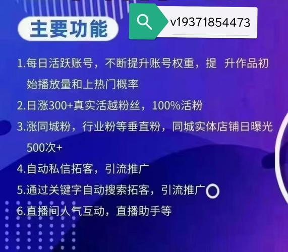 **揭秘热门视频号火爆背后的“助推器”：刷粉平台如何助力内容腾飞？**