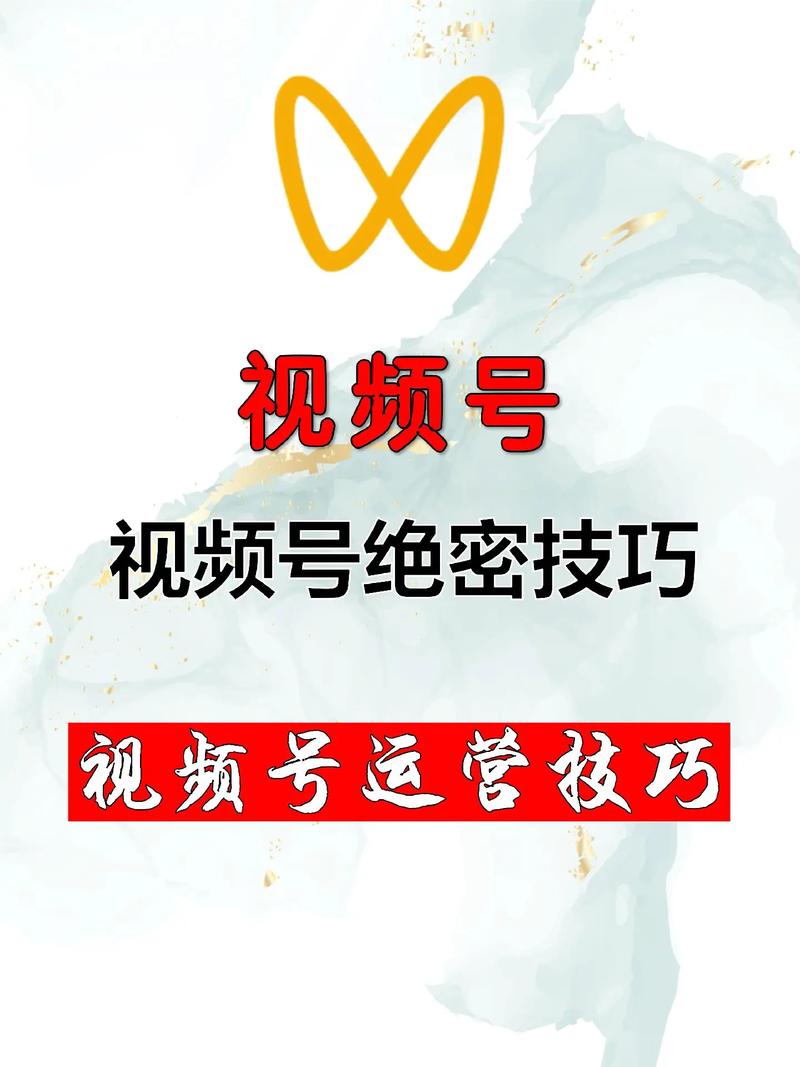 **标题：揭秘视频号的秘密武器：低成本投入，高收益产出的秘诀！**