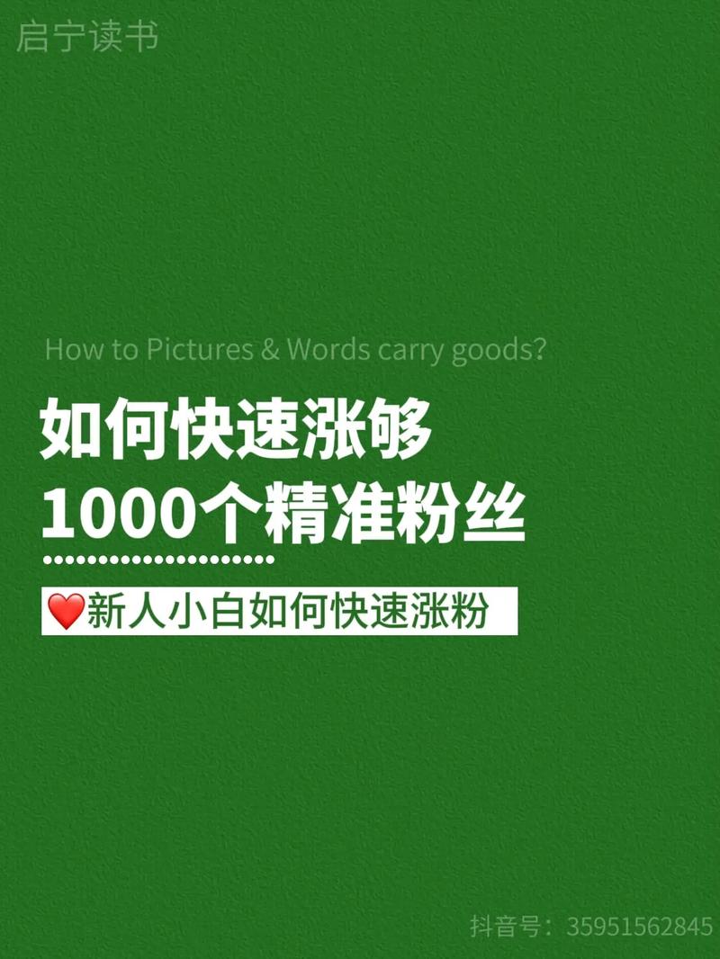 **标题：揭秘视频号涨粉新秘籍，轻松实现1000有效粉丝即时入账！**