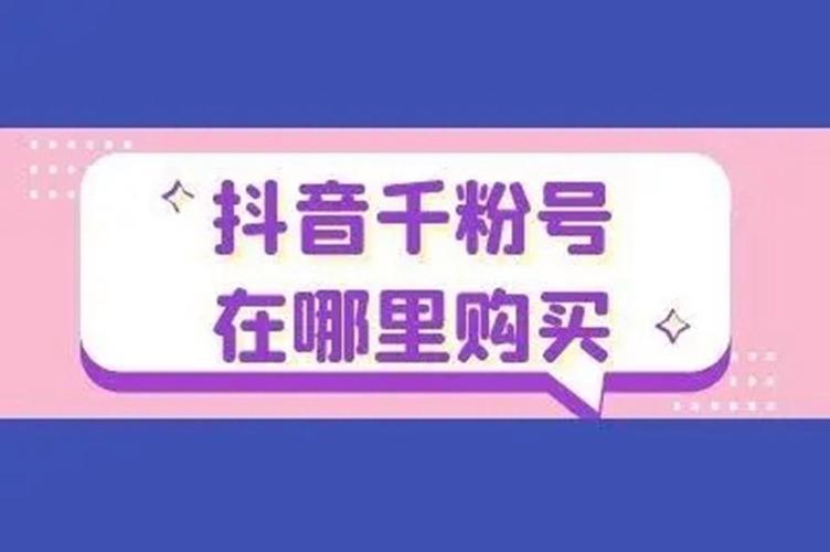 从零开始：购买抖音1000粉丝开启网红之旅