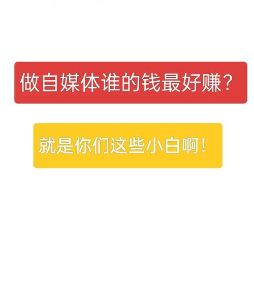 **揭秘B站代刷网：成为达人的捷径还是陷阱？**